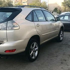 Lexus RX 330 2004