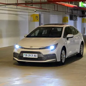 Toyota Corolla 2021