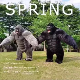 Gorilla mishka miska animator