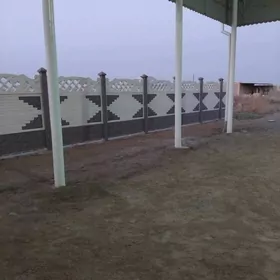 Beton Zabor (Haýat)