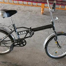 Tigir kama