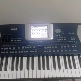 Korg pa500