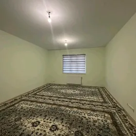 Arenda Mir8️