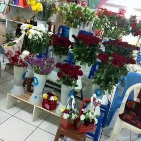 satlyk sowda we hususy emlak