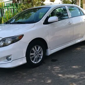 Toyota Corolla 2010