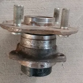 Stupısa corolla