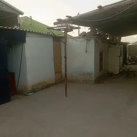 Jay