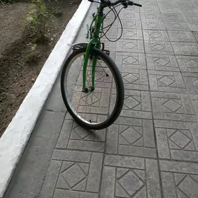 turkmenistan tigir