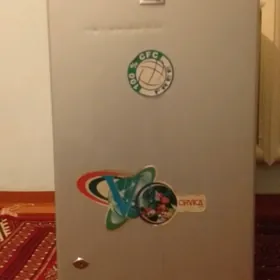 holodilnik