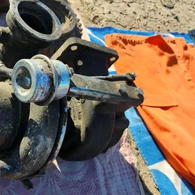 maz somaswal turbina
