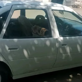 Opel Vectra 1990