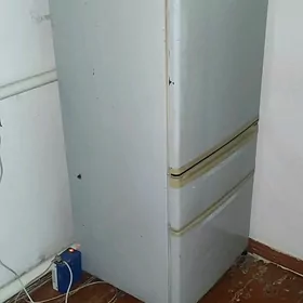 Holadinik