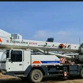 Zoomlion ZTC300V532 2008