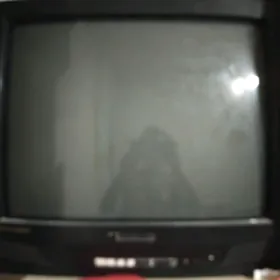 Telewizor