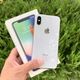 iPhone X