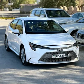 Toyota Corolla 2021