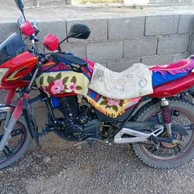 Fekon FK150-8G 2025