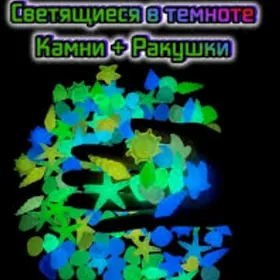 светящиеся (фосфорные) ракушки