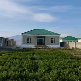 Jay Gokdepe Sorgala