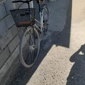 tıgır