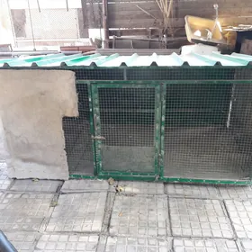КЛЕТКА
