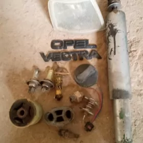 Opel wektra