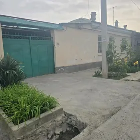 SATLYK PLAN JAÝ ÄNEW MAGTUMGUL