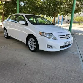 Toyota Corolla 2010