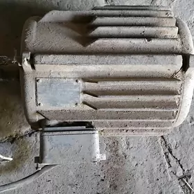 Elektrodiwitel