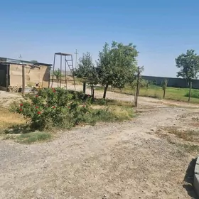 Satlyk jaý Anew Magtymguly