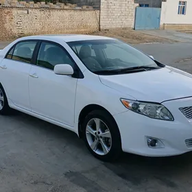 Toyota Corolla 2010