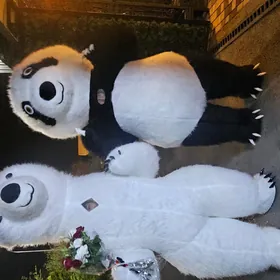 Panda miska
