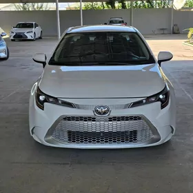 Toyota Corolla 2022