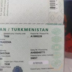 pasport yitirdim