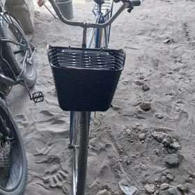 tiger Aist