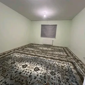 Arenda Mir 8 2 kom