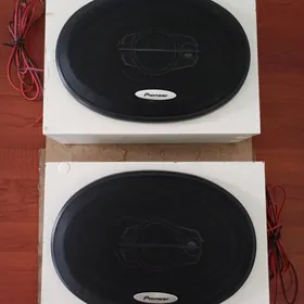 PIONEER KOLONKA