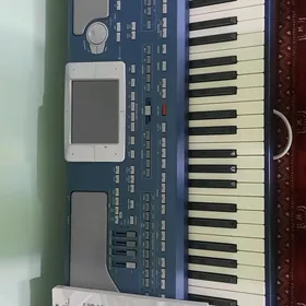 Korg Pa800