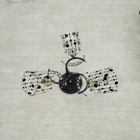 lyustralysutra