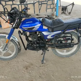 Fekon FK150-8G 2013