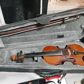 скрипки