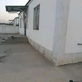 Gokdepe plon kateź