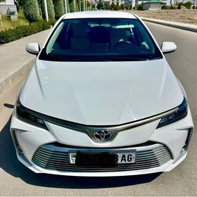 Toyota Corolla 2021