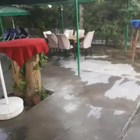 KAFE  MANGAL  ARENDA
