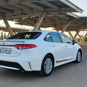 Toyota Corolla 2020