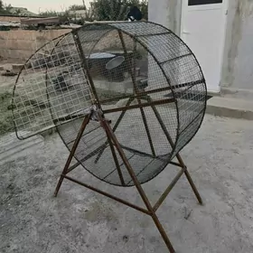 Horoz ylgadilyan