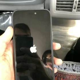 iPhone 16_pro max