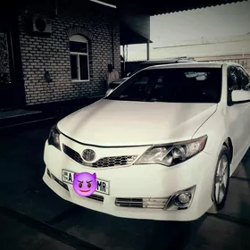 Toyota Camry 2013