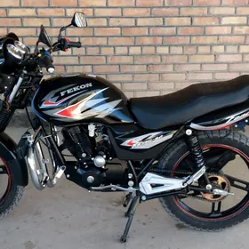 Fekon FK150-8G 2013