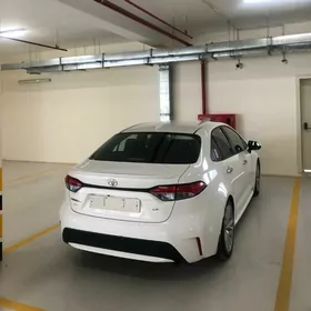 Toyota Corolla 2020